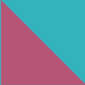 Meet your Posher, Ariana